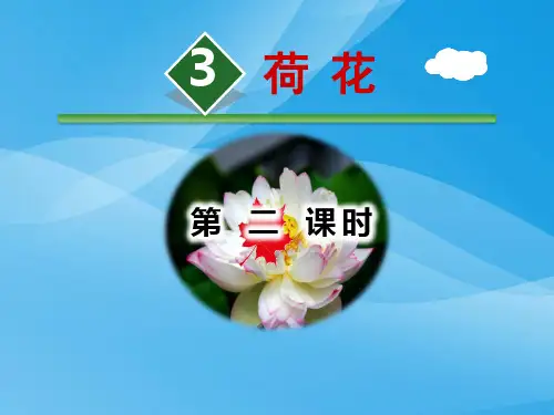 《荷花》PPT(第二课时)课件PPT