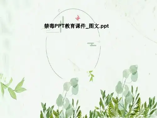 禁毒PPT教育课件_图文