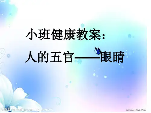 小班健康教案-眼睛 PPT课件