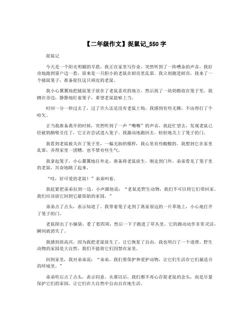 【二年级作文】捉鼠记_550字
