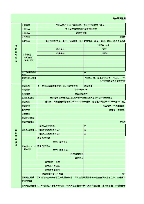 融资项目申请表