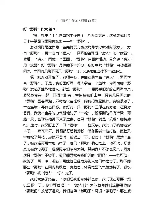 打“野鸭”作文（通用13篇）