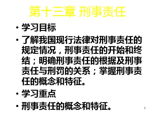 刑事责任PPT课件
