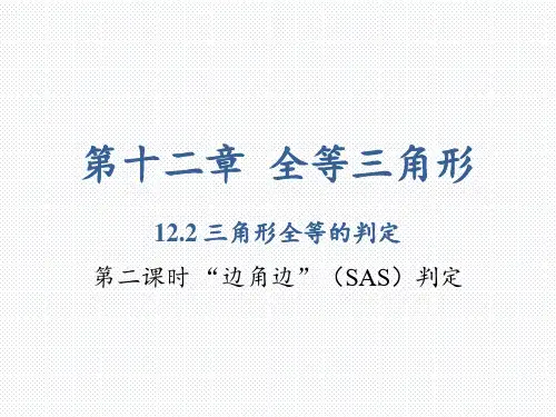 《三角形全等的判定》课件-完美版1