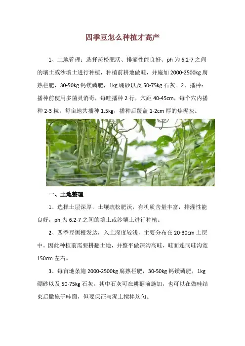 四季豆怎么种植才高产