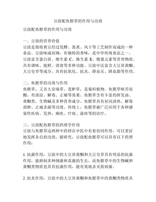 豆豉配鱼腥草的作用与功效
