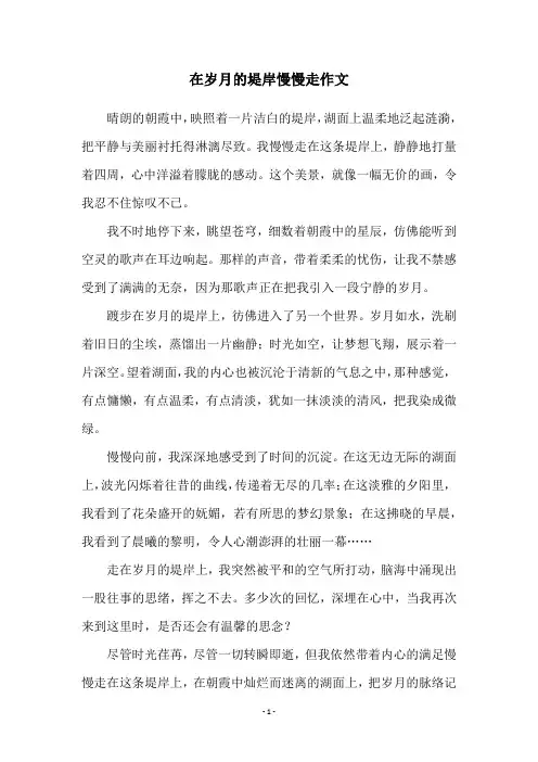 在岁月的堤岸慢慢走作文