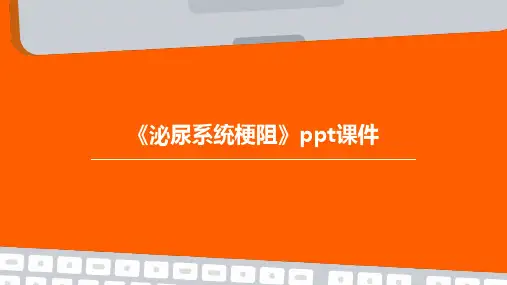 《泌尿系统梗阻》课件