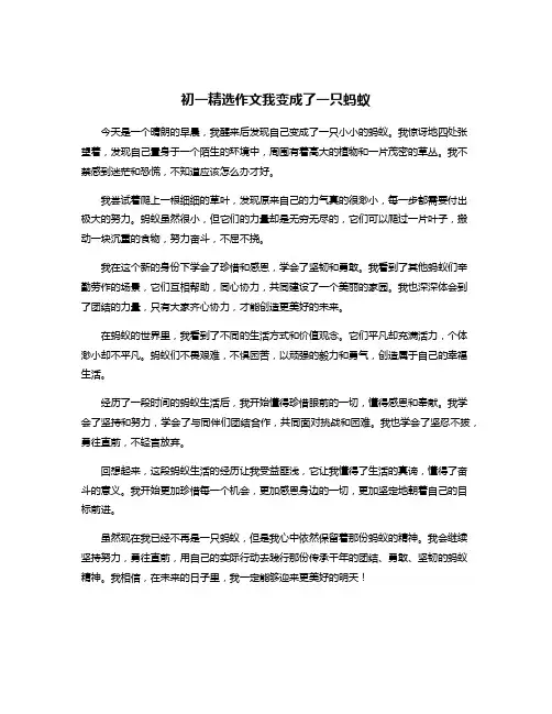 初一精选作文我变成了一只蚂蚁