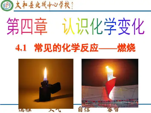 常见的化学反应——燃烧