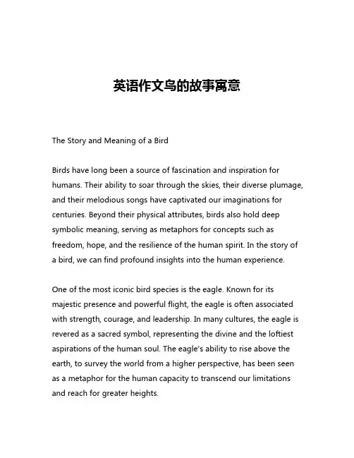 英语作文鸟的故事寓意