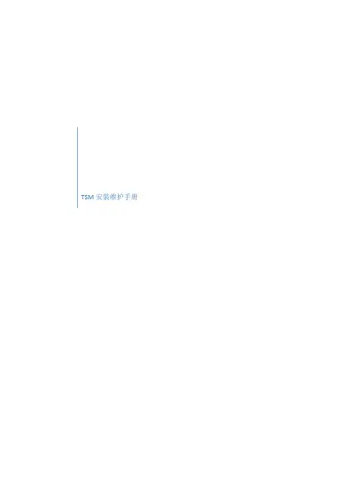 tsm详细的安装维护手册