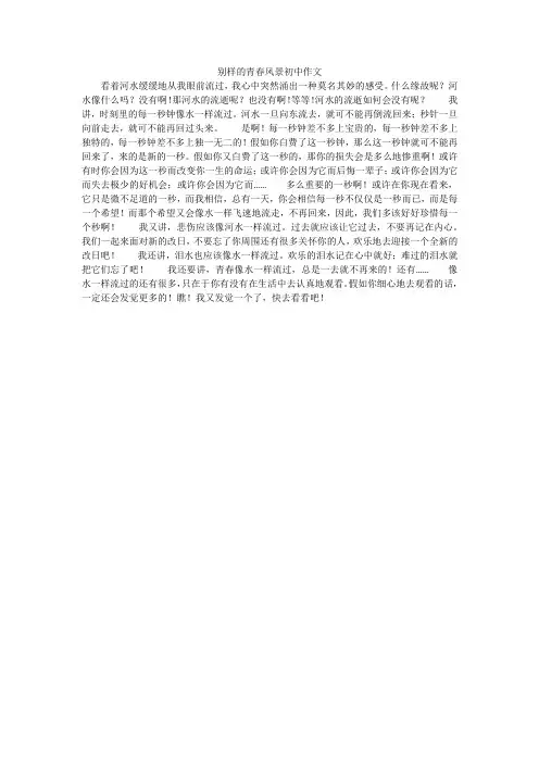 别样的青春风景初中作文