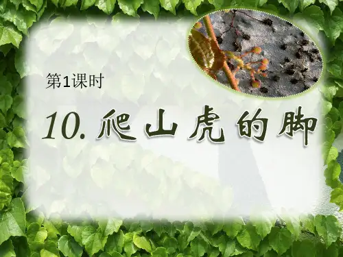 部编版语文四年级上册爬山虎的脚第一课时-优课件