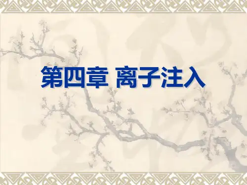 第四章离子注入介绍