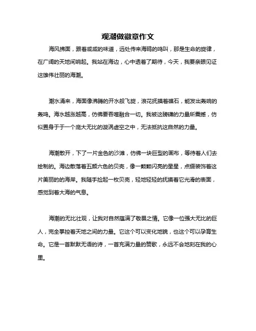 观潮做徽章作文