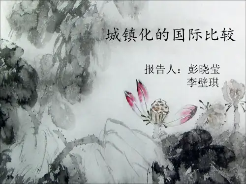 政治经济学讨论——城镇化的国际比较