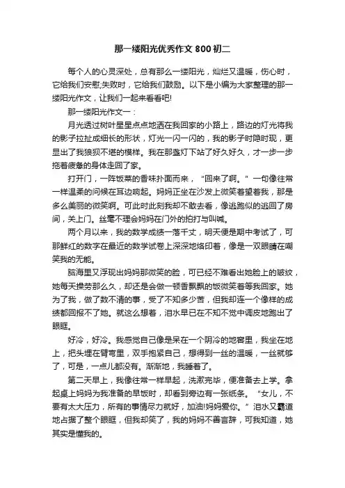 那一缕阳光优秀作文800初二