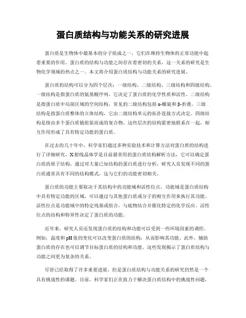 蛋白质结构与功能关系的研究进展