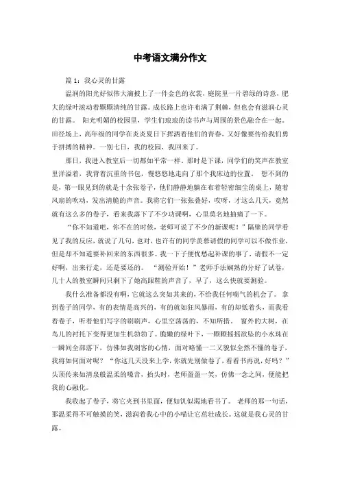 2023年安徽中考语文满分作文