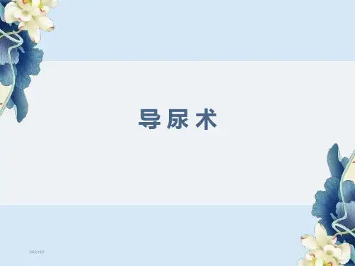 导尿术 ppt课件