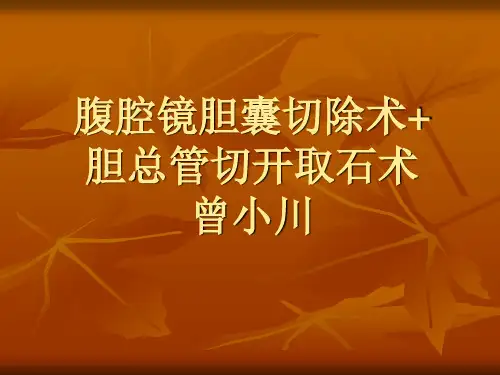 胆总管切开取石术