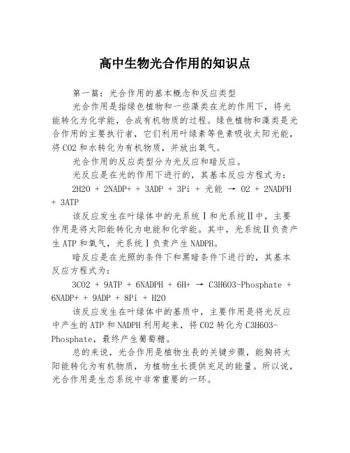 高中生物光合作用的知识点3篇