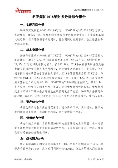 君正集团2018年财务分析结论报告-智泽华