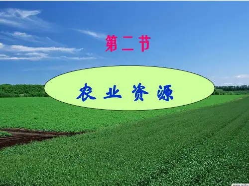 农业资源PPT课件