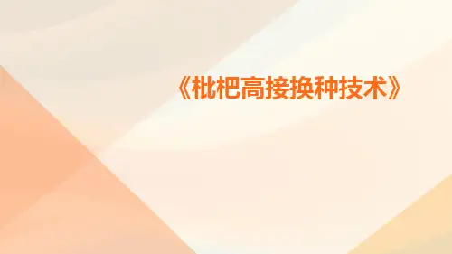 枇杷高接换种技术