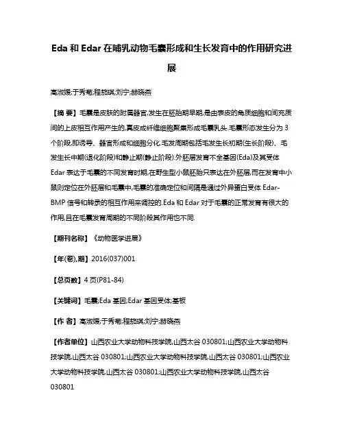 Eda和Edar在哺乳动物毛囊形成和生长发育中的作用研究进展