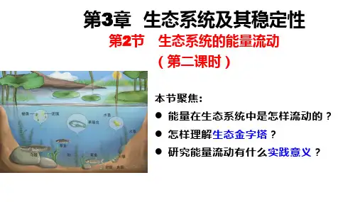 生态系统的能量流动(第二课时)高二生物课件(人教版2019选择性必修2)