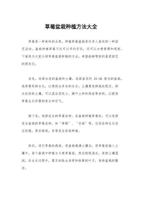 草莓盆栽种植方法大全