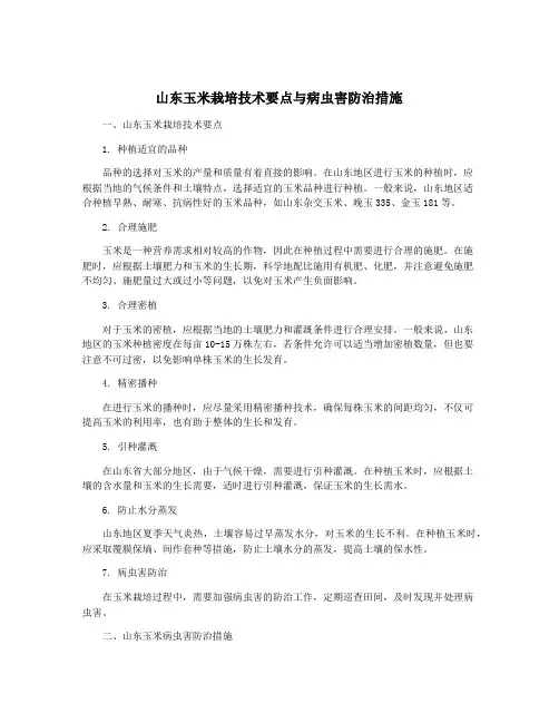 山东玉米栽培技术要点与病虫害防治措施