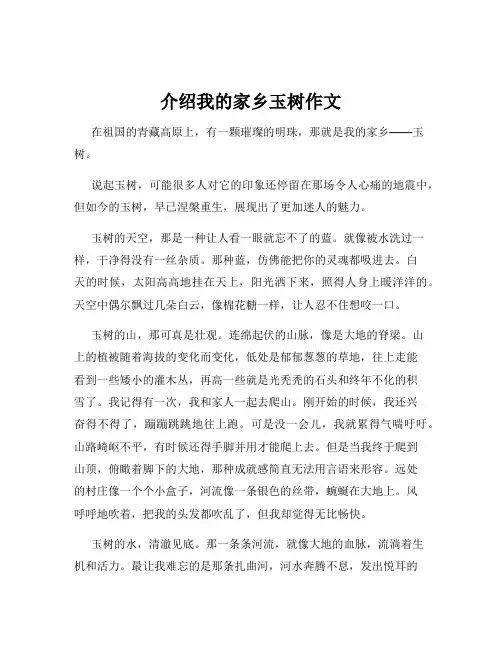 介绍我的家乡玉树作文