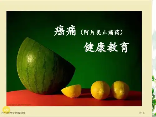 阿片类药物专业知识讲座