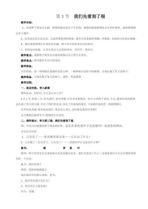三年级下册科学教案-1.3 我们先看到了根｜教科版