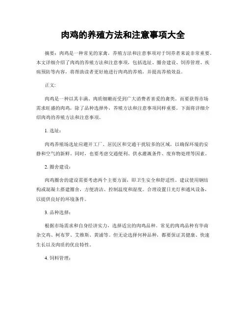 肉鸡的养殖方法和注意事项大全