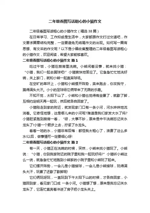 二年级看图写话粗心的小猫作文（精选38篇）