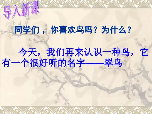 人教版三年级语文下册翠鸟精品PPT课件
