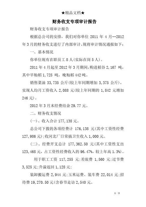 财务收支专项审计报告