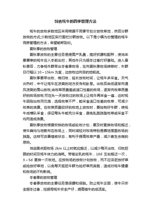 饲养牦牛的四季管理方法