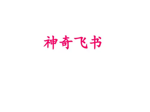 神奇飞书1
