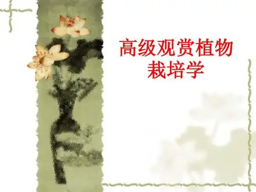 观赏植物分类与命名