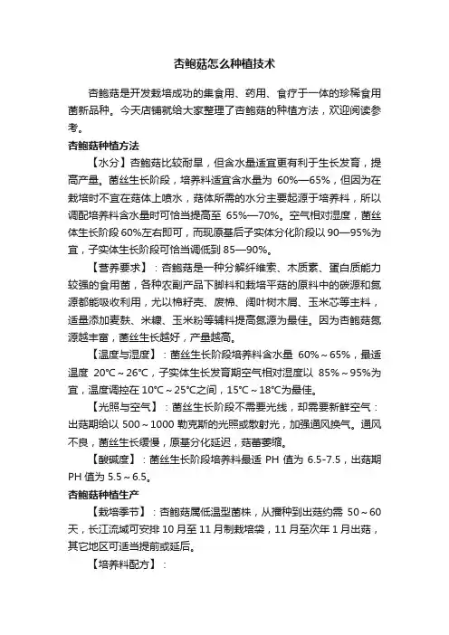杏鲍菇怎么种植技术