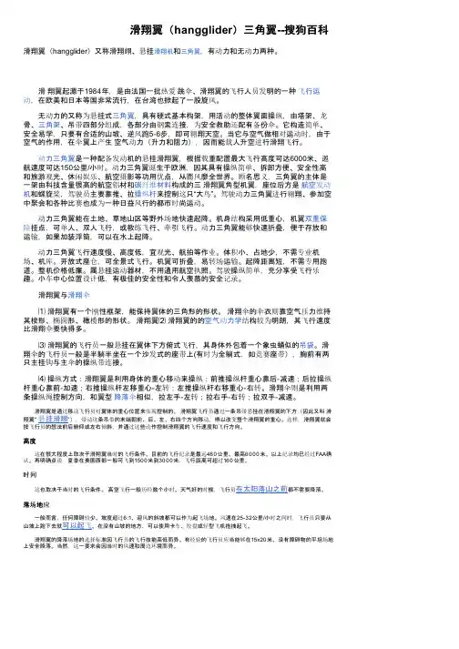 滑翔翼（hangglider）三角翼--搜狗百科