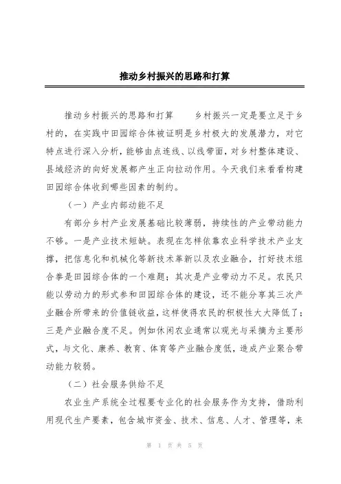推动乡村振兴的思路和打算