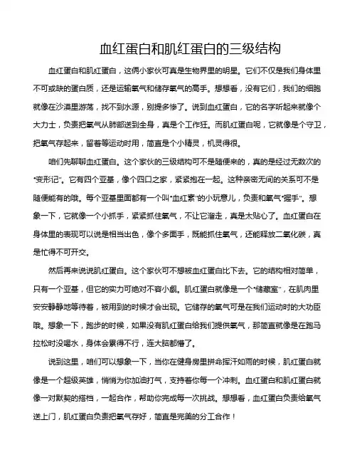 血红蛋白和肌红蛋白的三级结构