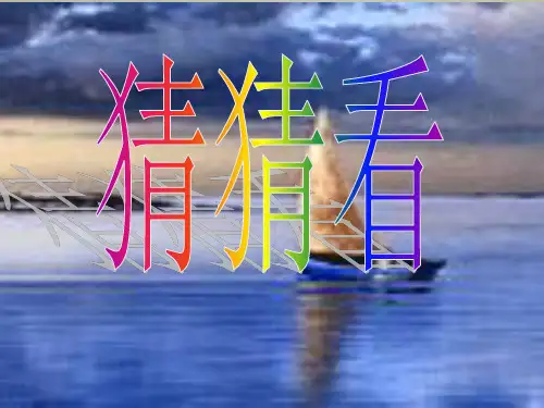 地理八年级课件-自然资源总量丰富、人均不足优秀课件 精品