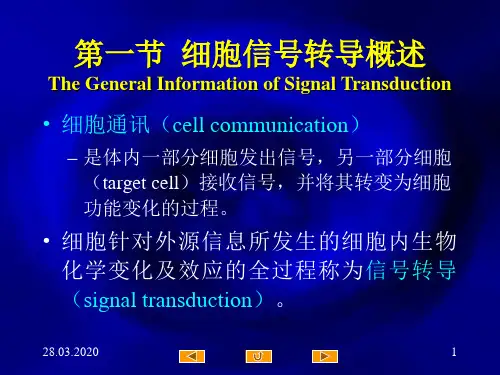 细胞信息转导共196页